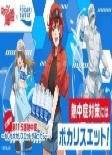 دانلود انیمه Hataraku Saibou: Necchuushou - Moshimo Pocari Sweat ga Attara