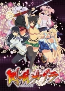 دانلود انیمه Senran Kagura Specials